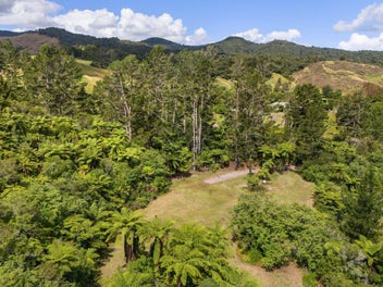 Your Own Private Bush Oasis