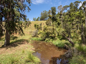 Bare land with Sheds, sheds and more sheds!