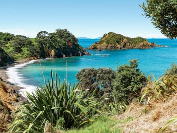 Tutukaka Coast - Ocean Front