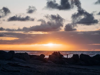 Where Imagination Meets the Wild