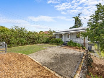 Affordable + Character Lover