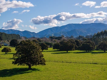 Premium Lifestyle in Greytown