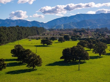 Premium Lifestyle in Greytown