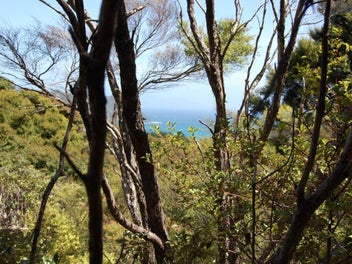 On Top of the World - Ridge-top Land with Plans