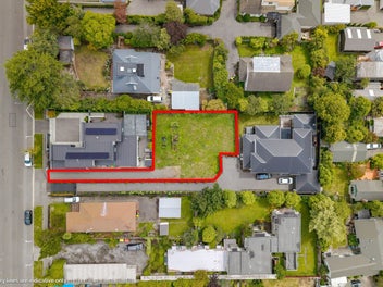 The Perfect Parcel on Puriri
