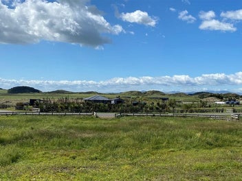 That Special Section!