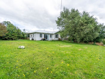 Packed with potential!