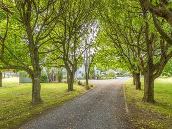 Unique, Spacious Home & Equestrian Lifestyle