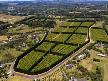 Superb opportunity for lifestyle subdivision