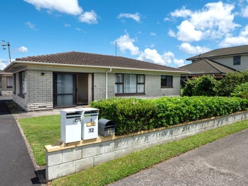 Great Sun, Great Bones, Great Value