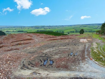 Outstanding Opportunity!