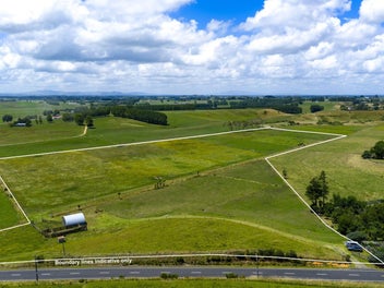 Blank Canvas on Bankier