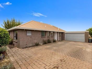 Solid, Affordable & Full of Potential