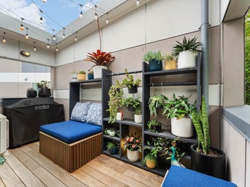 Greater Ponsonby Sanctuary