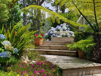 Coastal Land & Independence West Auckland