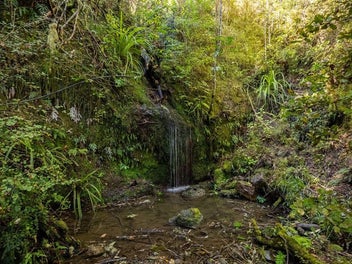 Recreation that pays!