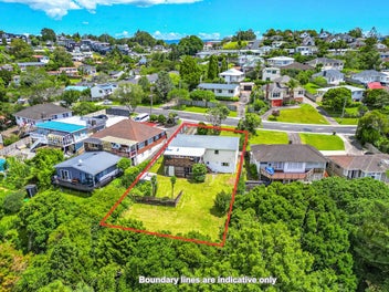 A Vision with a View in Central Glenfield