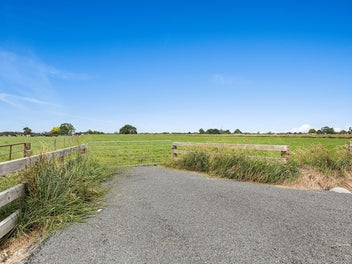 Lifestyle Section options