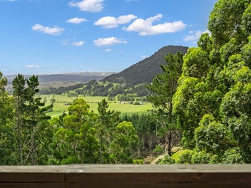 Apotu Road Alert: Clear Instructions to Sell!