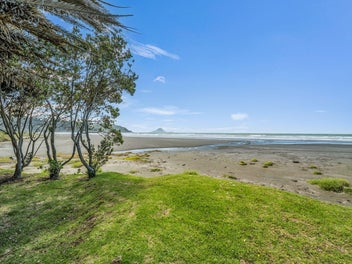 Ohope Absolute Beachfront + Proven Income