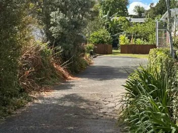 Sunny Onerahi Gem- Space, Sunshine and Gardens