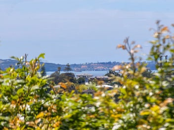 Solid. Sensible. Space for Generations