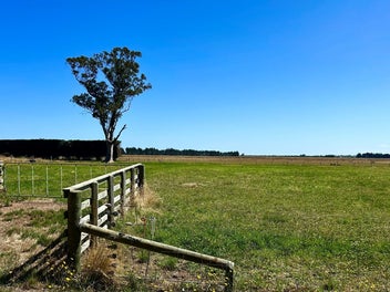 Buy, build, and enjoy the lifestyle - 1 hectare