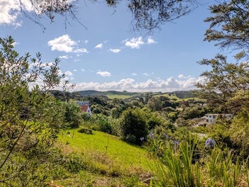 Oasis - Price reduced !!