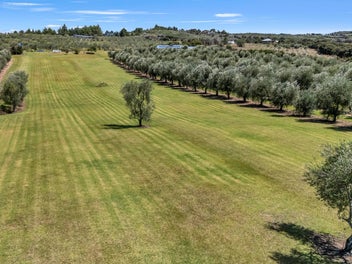 Contemporary Style Living on Leccino Valley Road