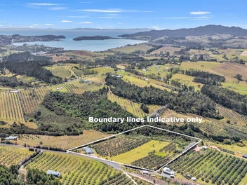 Contemporary Style Living on Leccino Valley Road