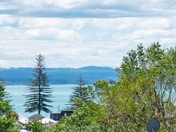 Ahuriri apartment alternative