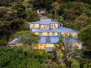 Spacious Sunny Sanctuary Seeks New Family!