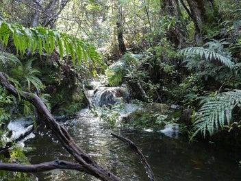 Build ready site, Blind Bay, Great Barrier