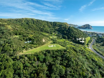 Two unique coastal land offerings in Mahia