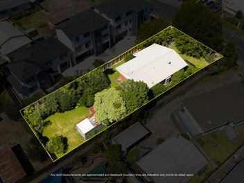 SOLID BRICK KIWI DREAM | PURE POTENTIAL