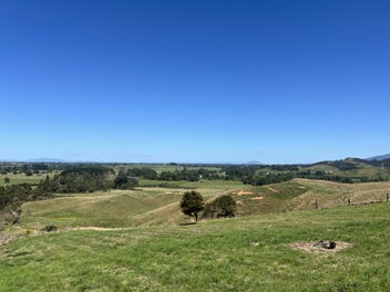 Image 1 of 15