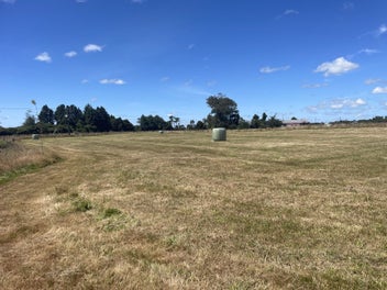 Something Special For Everyone