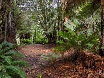 A Hunter’s Paradise