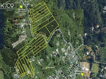 Four Freehold Titles – Only $200,000!