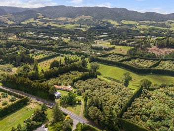 Vendor requests present all offers