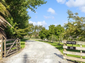 Contemporary Matakana Classic