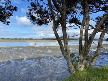 Image 1 of 12