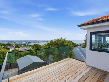 Heightened Admiration: View Sun 12:00pm-1:00pm