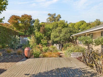 Something very special