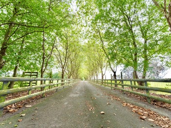 HUGE FAMILY HOMESTEAD ON OVER SIX ACRES