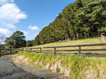 Peaceful Lifestyle Block In Kauri