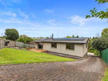 Big Section, Big Comfort, Big Tick