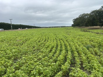 Buy 6.8ha get 9.2 ha