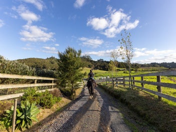 6.6 hectares for ponies and people