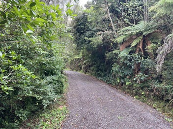 So Close to the Coast!